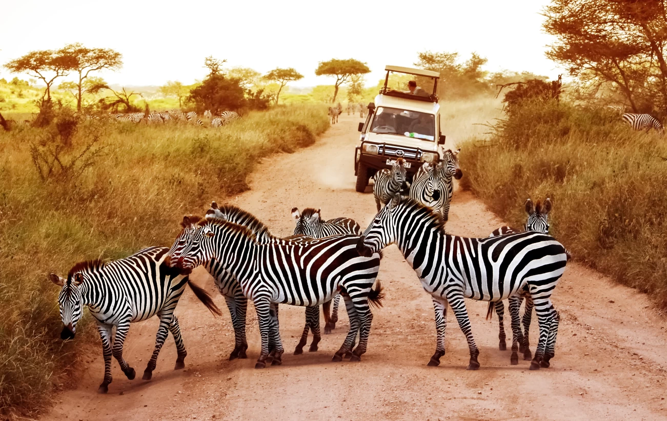 Serengeti plains of Tanzania